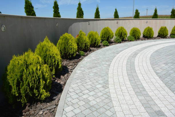 Reasons to Select Us for Your Driveway Paving Requirements in Dowagiac, MI